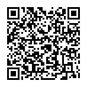 第55回全国中学校剣道大会記念弘毅会